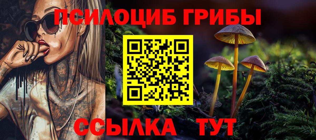 Псилоцибиновые грибы мицелий  Вход с VPN  Брянск 